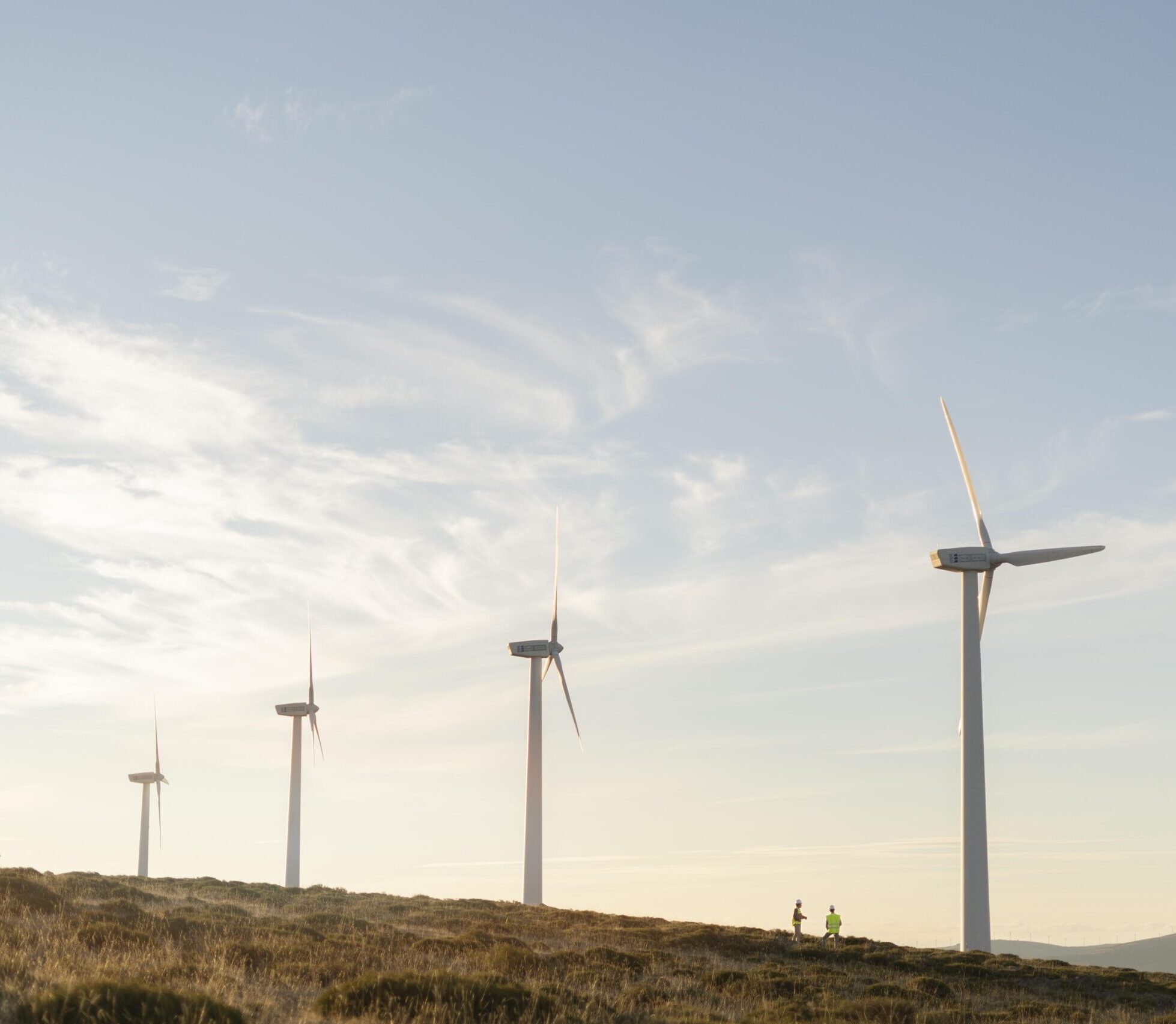 windmolens vijverberg